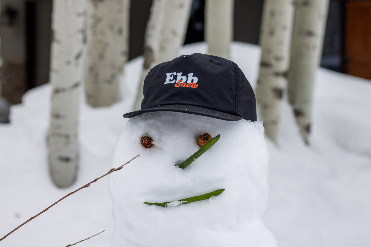 Snow Cap